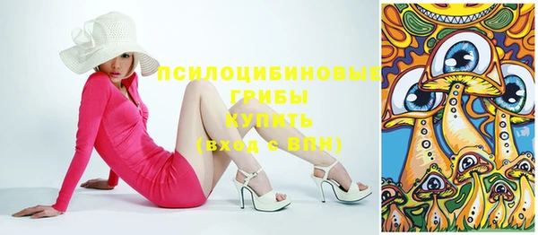 дурь Богданович