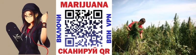 Конопля ГИДРОПОН  MEGA как зайти  Дно 